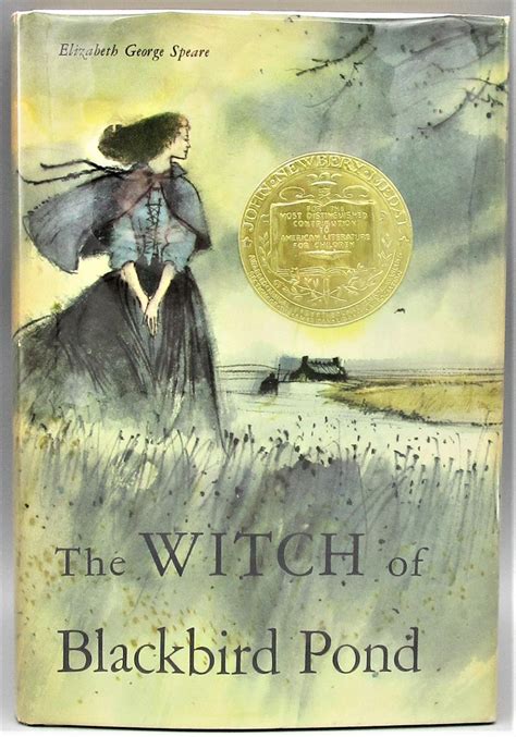 The witch of blackbirfd pond book